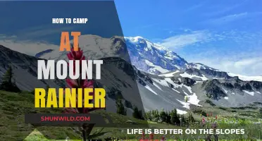 Embracing the Majesty: A Guide to Camping at Mount Rainier