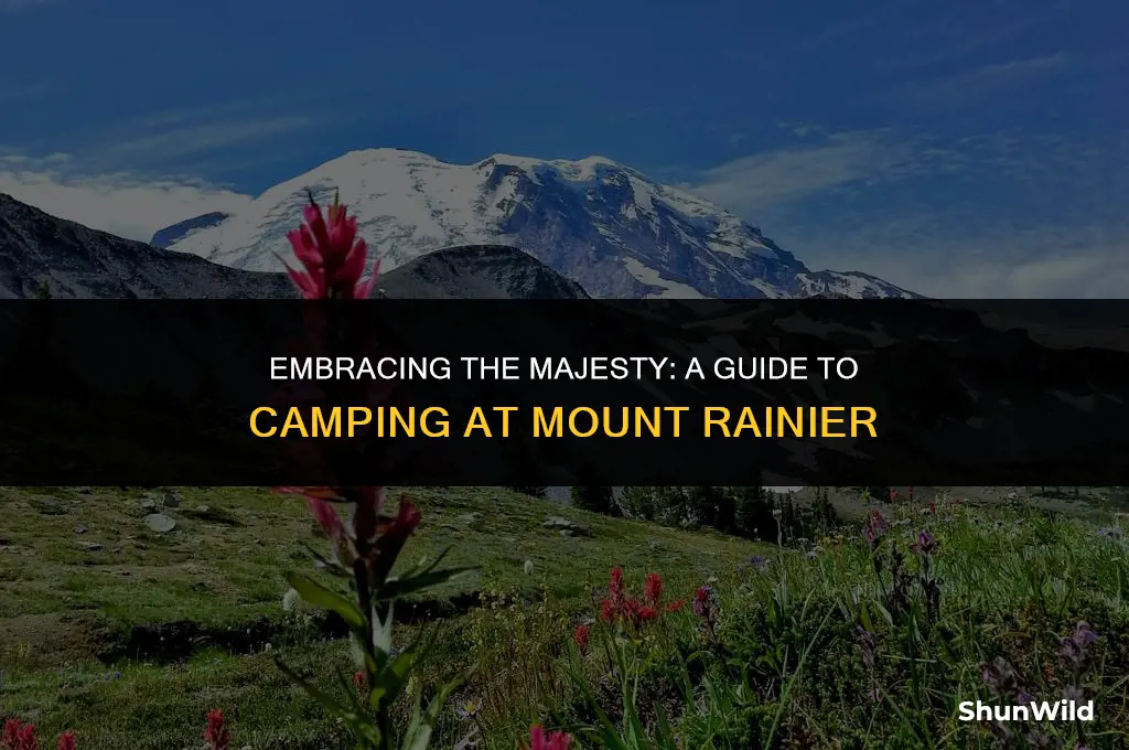 how to camp at mount rainier