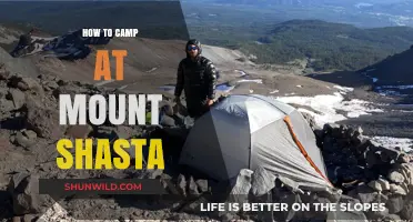 Embracing the Majesty: A Guide to Camping at Mount Shasta