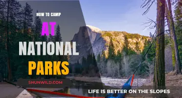 Essential Tips for Camping at National Parks: A Beginner's Guide