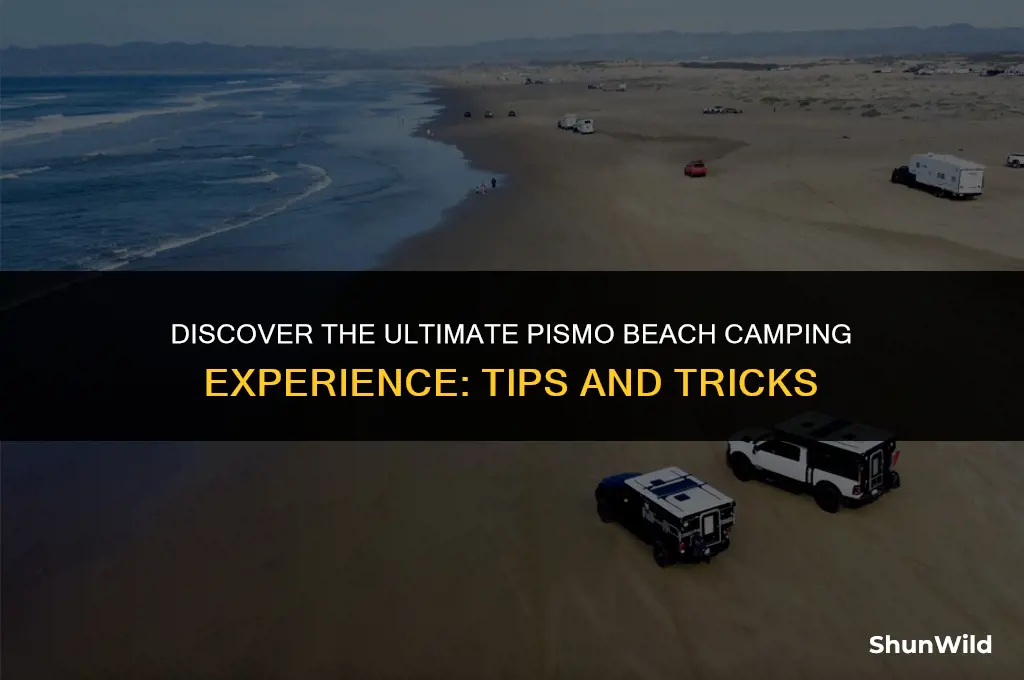 how to camp at pismo beach