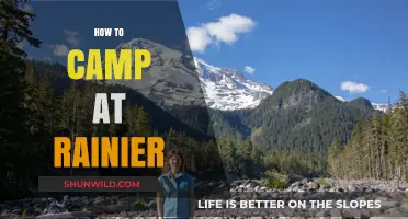 Essential Tips for Camping at Mount Rainier: Stay Dry and Safe