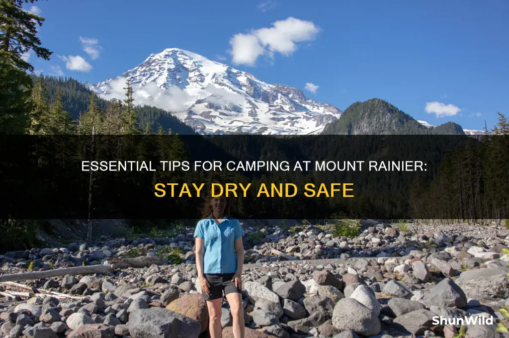 how to camp at rainier