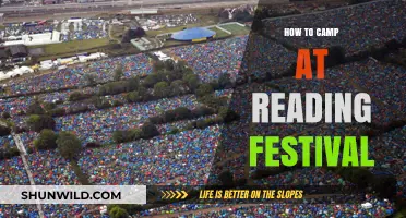 Festival Camping 101: Your Ultimate Guide to Reading Festival