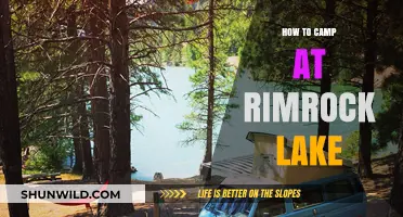 Rimrock Lake Camping Guide: Tips for an Unforgettable Outdoor Adventure