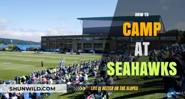 Camping at Seahawks Stadium: Tips for an Unforgettable Game Day Experience
