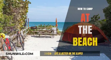 Pitching Tents by the Sea: A Beginner's Guide to Beach Camping