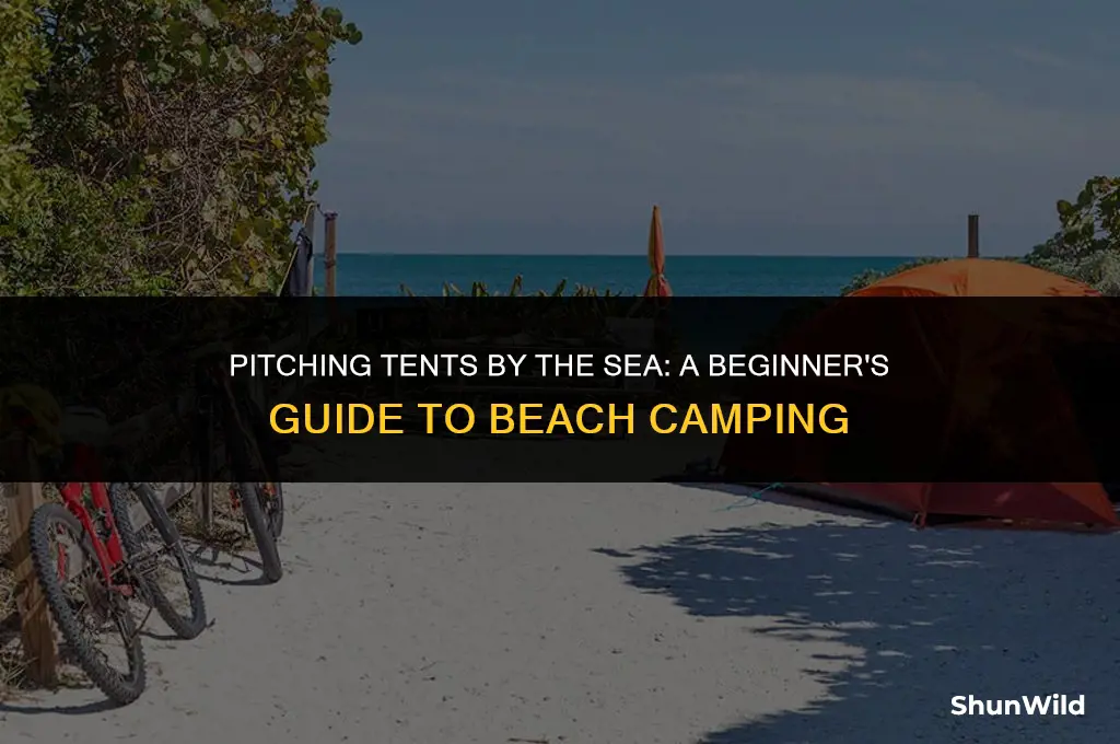 how to camp at the beach