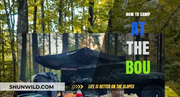 Essential Tips for Camping at the Bou: A Beginner's Guide