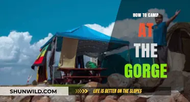 Exploring the Gorge: A Camper's Guide to Nature's Majesty