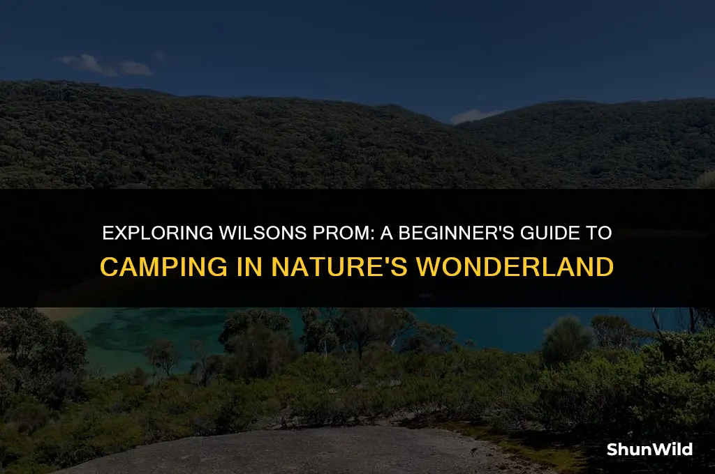 how to camp at wilsons prom