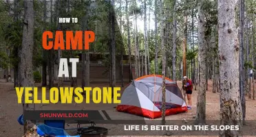 Ultimate Guide to Camping in Yellowstone National Park