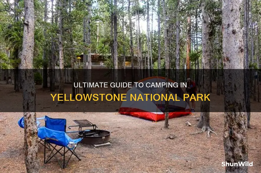 how to camp at yellowstone