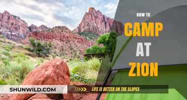 Essential Tips for Camping at Zion National Park Like a Pro
