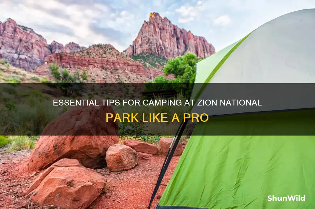 how to camp at zion
