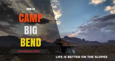 Ultimate Guide to Camping in Big Bend National Park