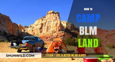 Camping on BLM Land: Tips for Responsible Outdoor Adventure