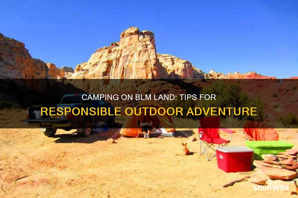 how to camp blm land