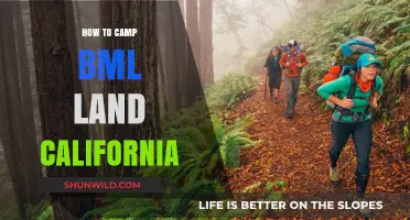 Exploring the Great Outdoors: A Beginner's Guide to Camping on California's BLM Land