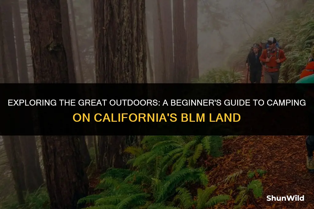 how to camp bml land california