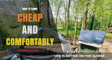 Budget-Friendly Camping: Comfort and Savings in the Great Outdoors