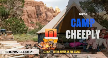 Budget-Friendly Camping Tips: How to Camp Cheaply and Comfortably
