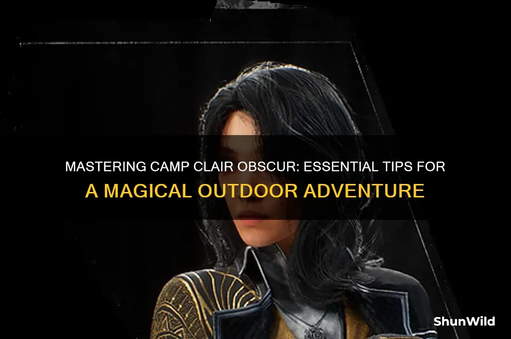 how to camp clair obscur