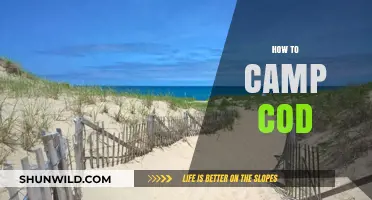 Mastering Camp Cod: Essential Tips for a Successful Camping Adventure