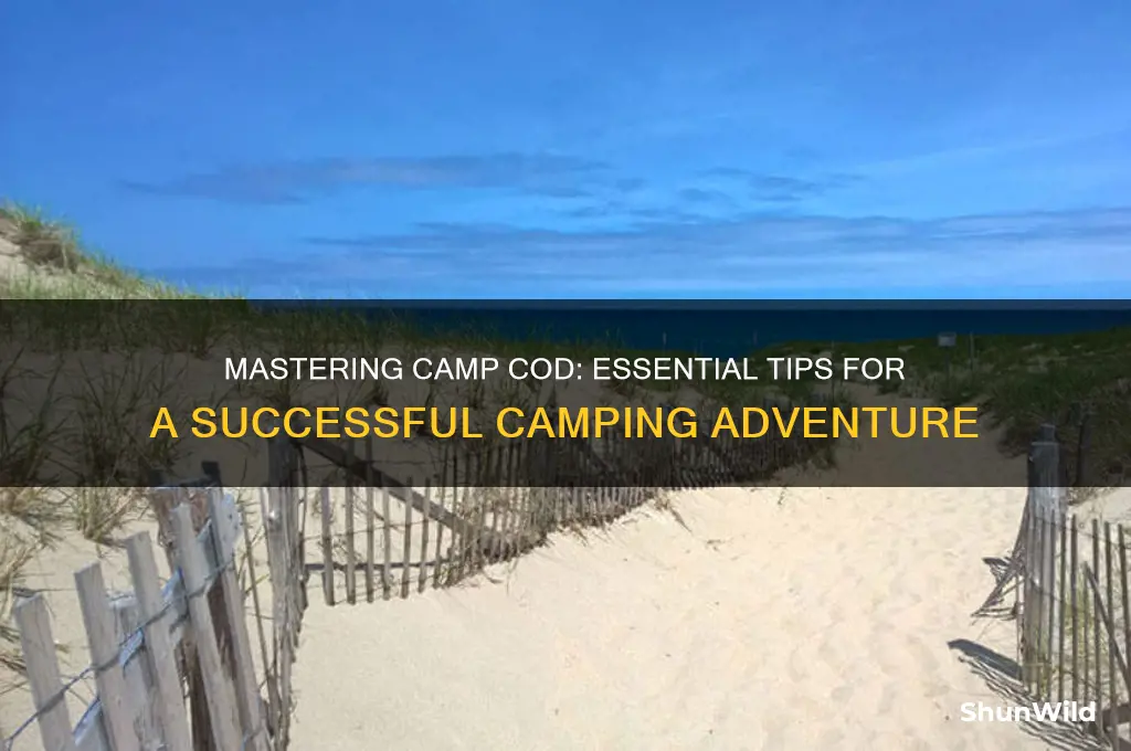 how to camp cod