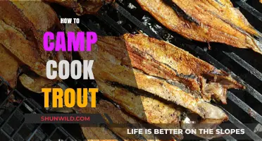 Master Camp Cooking: Delicious Trout Recipes for Outdoor Adventures