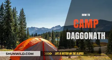 Mastering Daggonath Camping: Essential Tips for a Successful Adventure