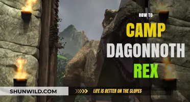 Mastering the Dagonnoth Rex Camp: Tips for Efficient and Profitable Runs