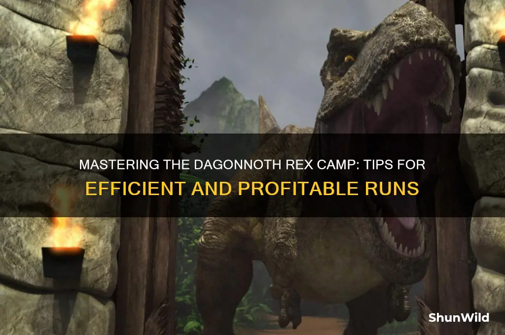 how to camp dagonnoth rex