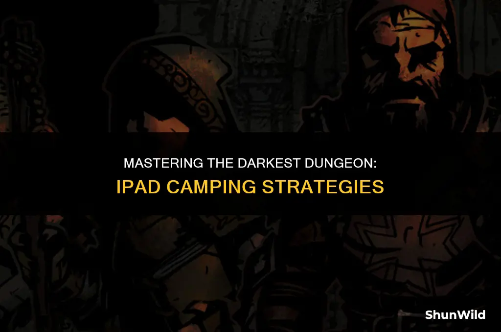 how to camp darkest dungeon ipad
