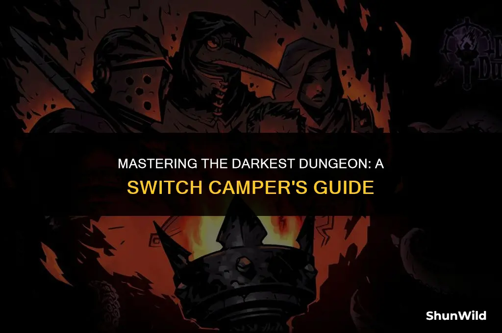 how to camp darkest dungeon switch