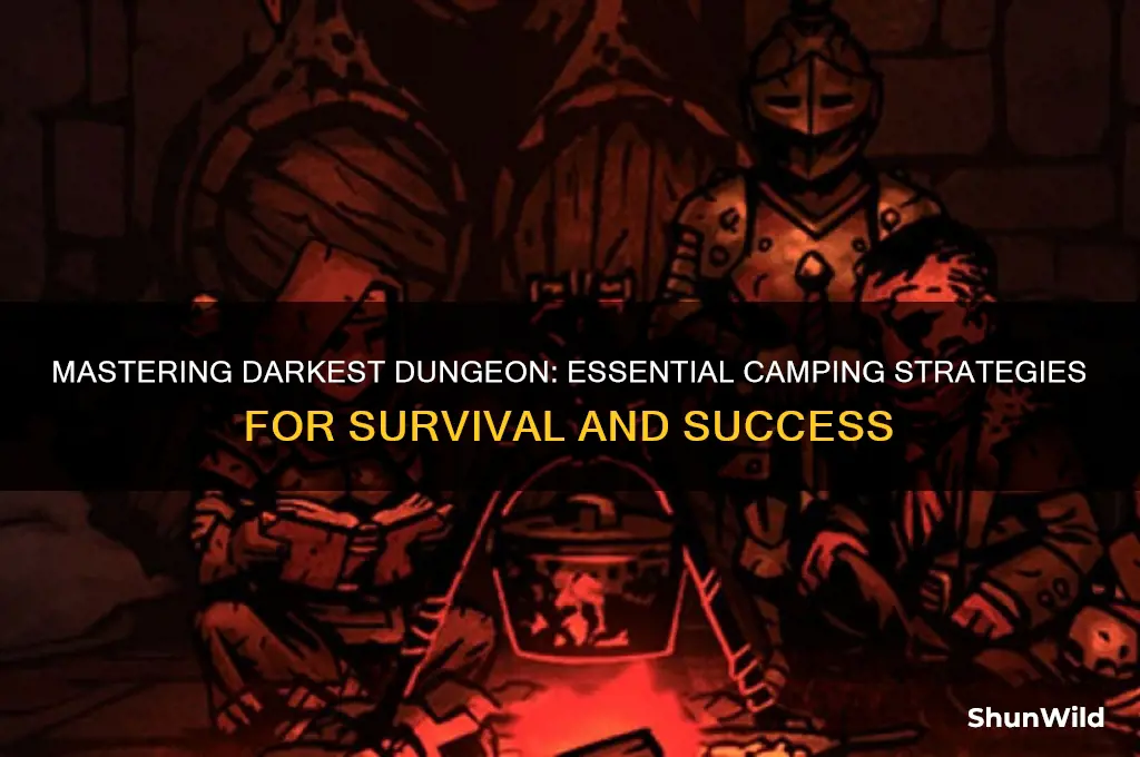 how to camp darkest dungeon