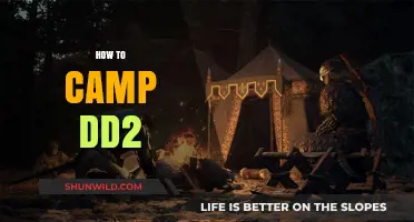 Mastering Camp DD2: Essential Tips for a Successful Camping Adventure