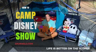 Mastering Disney Camping: Tips for an Unforgettable Outdoor Adventure