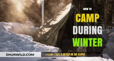 Winter Camping Survival Guide: Essential Tips for Cold-Weather Adventures