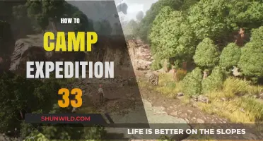 Mastering Camp Expedition 33: Essential Tips for an Unforgettable Adventure