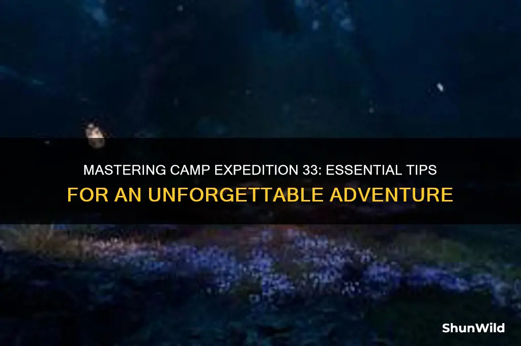 how to camp expedition 33