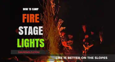 Illuminating the Wilderness: A Guide to Campfire Stage Lighting