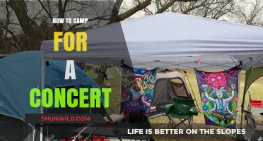 Pitching Tents and Tuning In: The Ultimate Concert Camping Guide