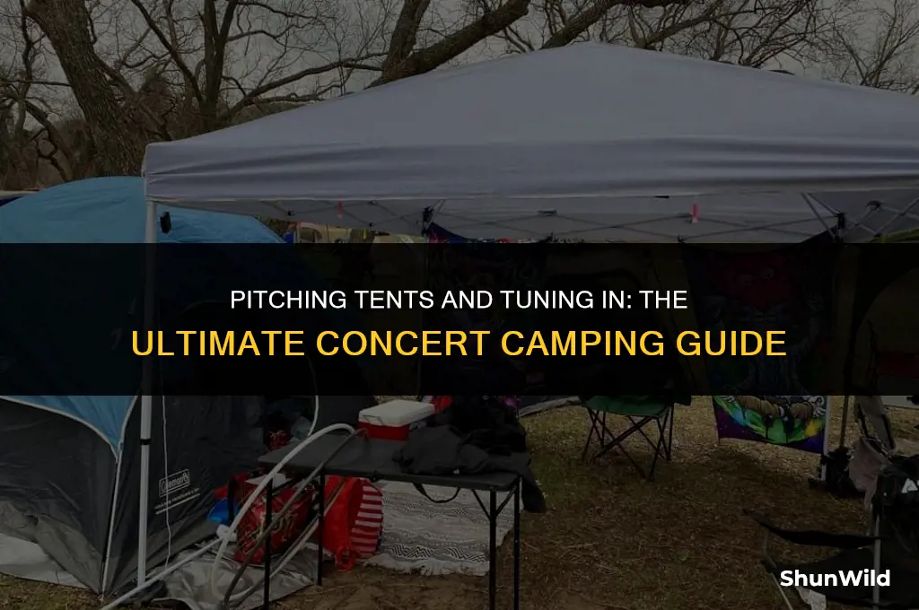 how to camp for a concert