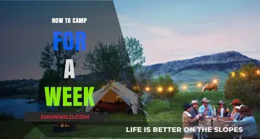A Week in the Wild: Your Ultimate Guide to Camping Bliss