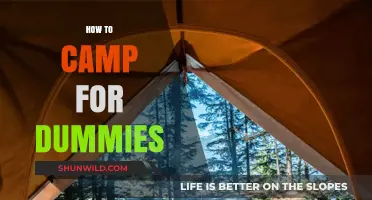 Camping 101: Beginner's Guide to Outdoor Adventures Made Easy