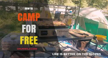 Camping on a Budget: Ultimate Guide to Free Outdoor Adventures