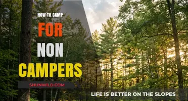 Essential Camping Tips for Beginners: A Non-Camper's Guide
