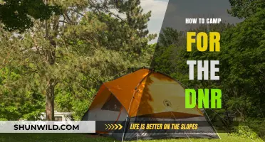 Embracing the Wild: A Beginner's Guide to DNR Camping