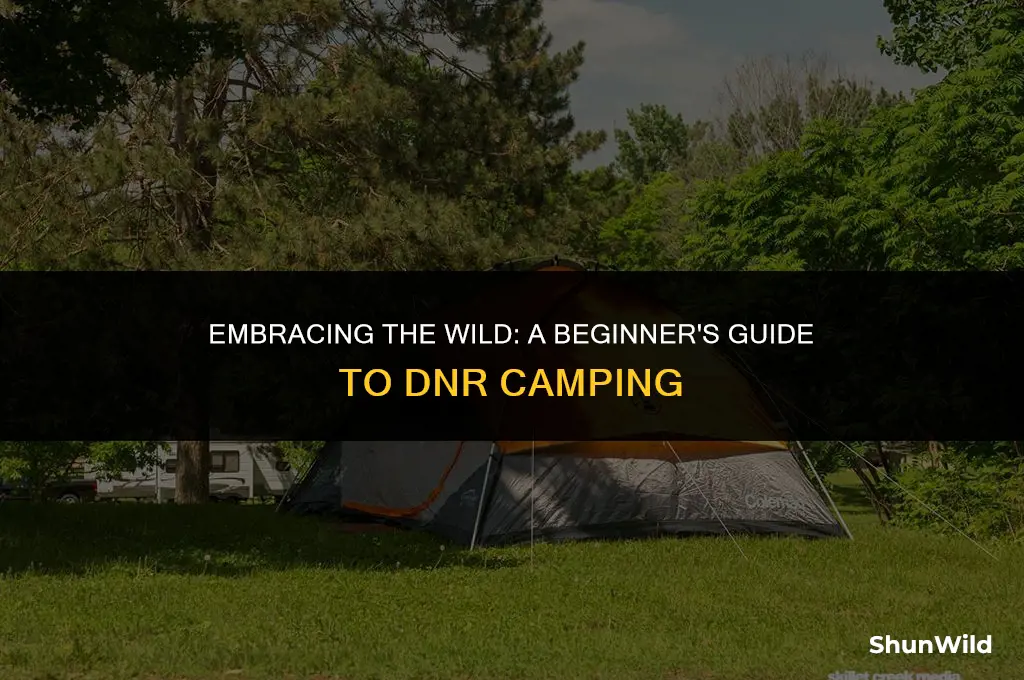 how to camp for the dnr